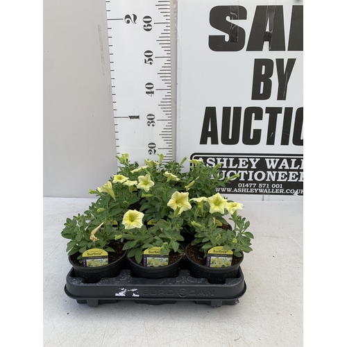 Lot 68        