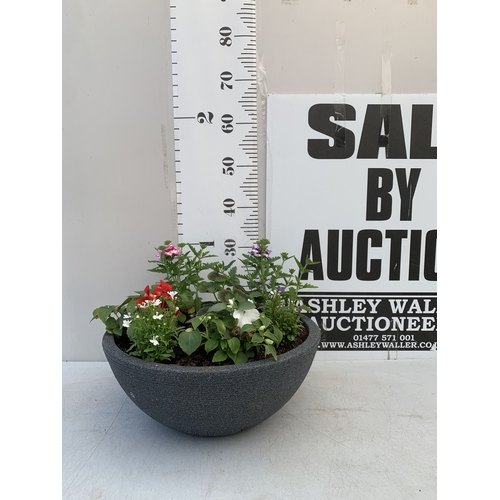 7 - ONE LARGE PLANTER FILLED WITH BEDDING TO INCLUDE GERANIUMS, MIXED LOBELIA, SEMPS AND VERBENA 'SPARKL... 
