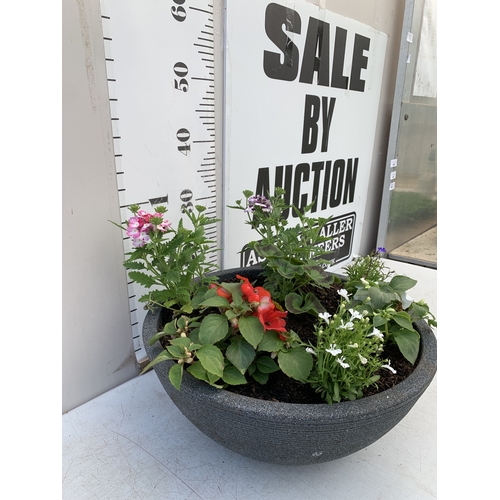 7 - ONE LARGE PLANTER FILLED WITH BEDDING TO INCLUDE GERANIUMS, MIXED LOBELIA, SEMPS AND VERBENA 'SPARKL... 