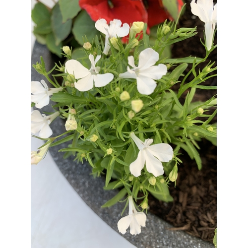 7 - ONE LARGE PLANTER FILLED WITH BEDDING TO INCLUDE GERANIUMS, MIXED LOBELIA, SEMPS AND VERBENA 'SPARKL... 
