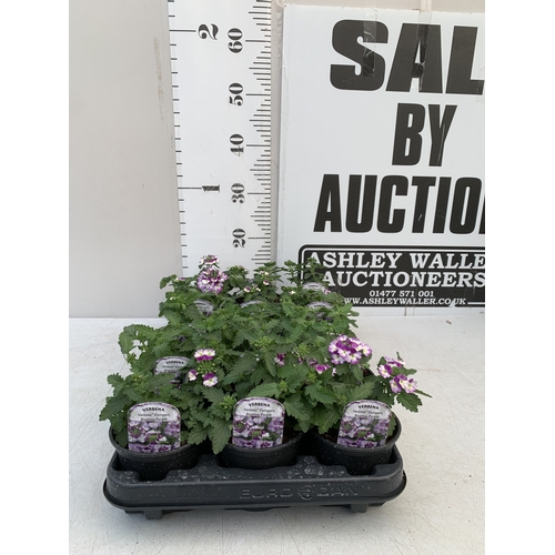 Lot 70        