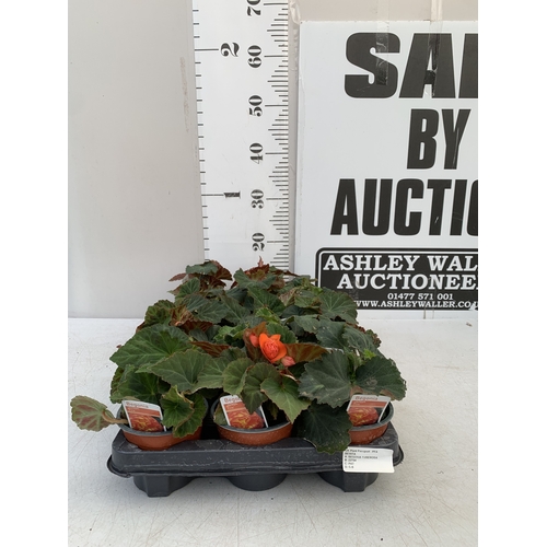 Lot 72        