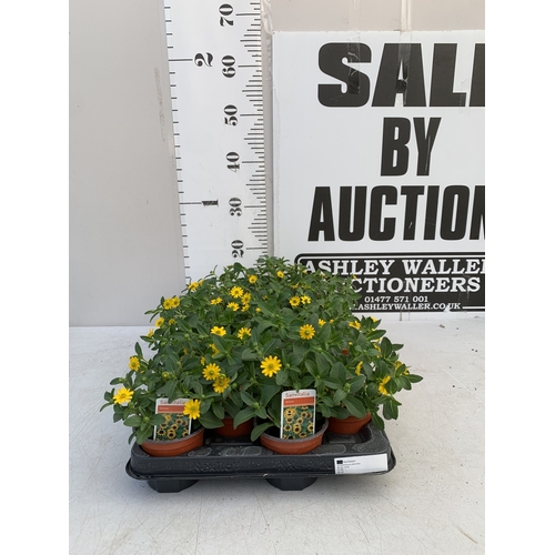 Lot 78        