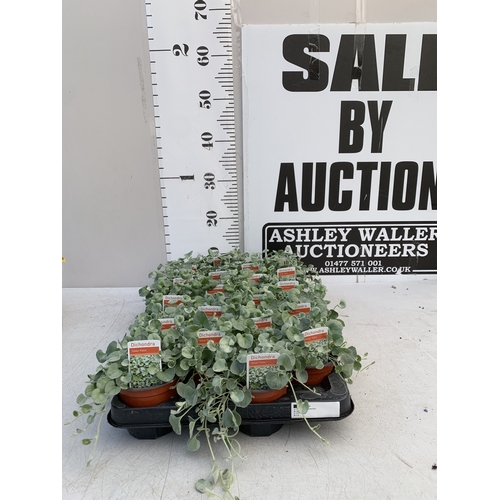 Lot 79        