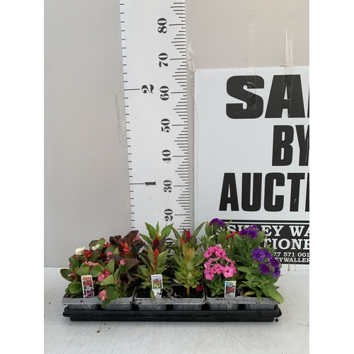 Lot 85        