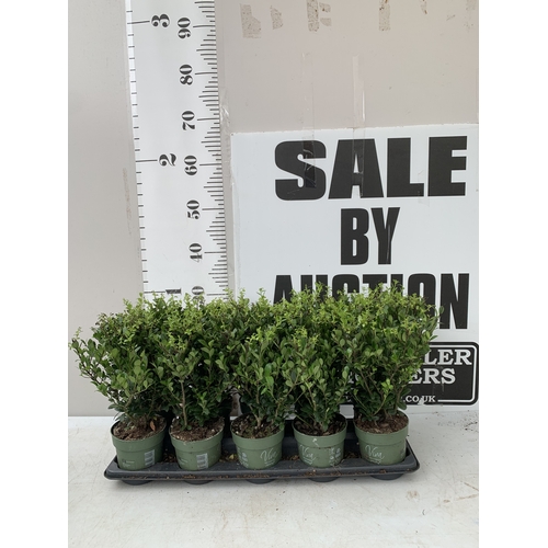 Lot 48        