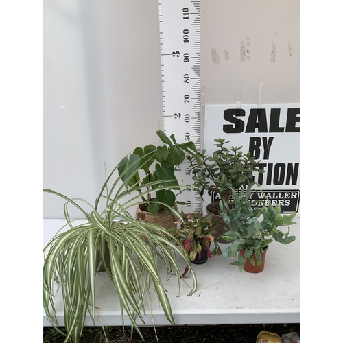 Lot 58        