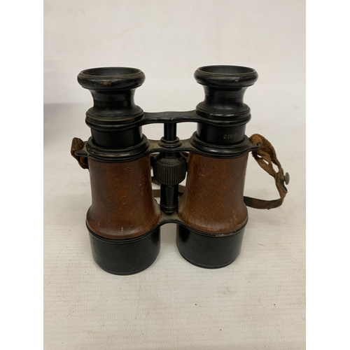 Lot 22        