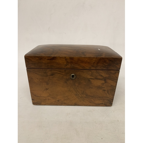 Lot 23        