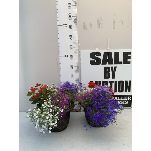 Lot 20        