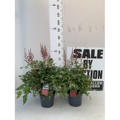 Lot 7         