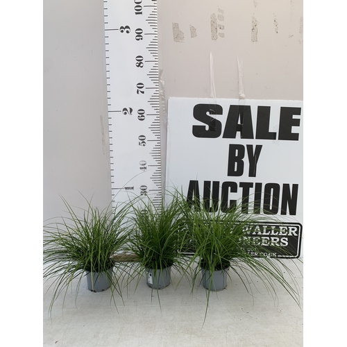 Lot 9         