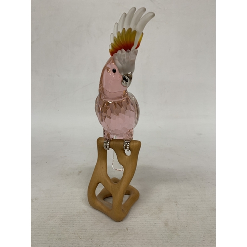 16 - A SWAROVSKI RED 'COCKATOO' FIGURE (MODEL 718565) FROM THE PARADISE BIRDS COLLECTION ON A WOODEN BASE... 
