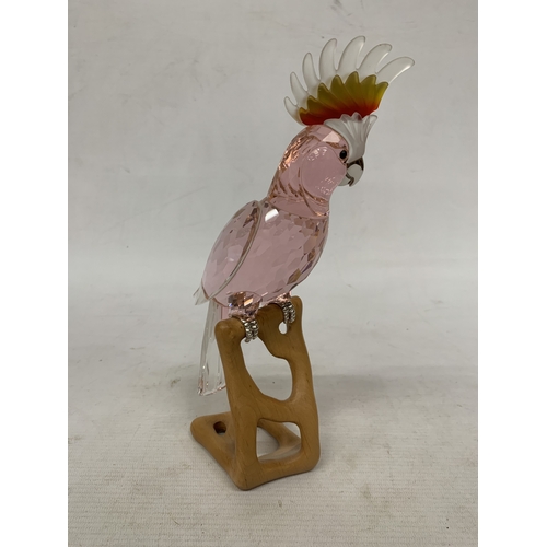 16 - A SWAROVSKI RED 'COCKATOO' FIGURE (MODEL 718565) FROM THE PARADISE BIRDS COLLECTION ON A WOODEN BASE... 