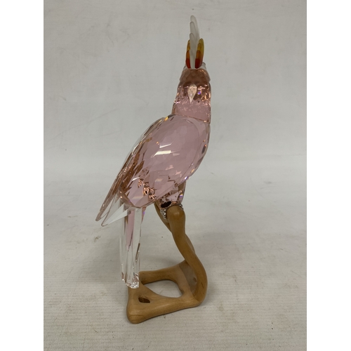 16 - A SWAROVSKI RED 'COCKATOO' FIGURE (MODEL 718565) FROM THE PARADISE BIRDS COLLECTION ON A WOODEN BASE... 