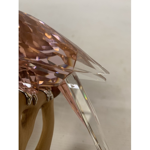 16 - A SWAROVSKI RED 'COCKATOO' FIGURE (MODEL 718565) FROM THE PARADISE BIRDS COLLECTION ON A WOODEN BASE... 