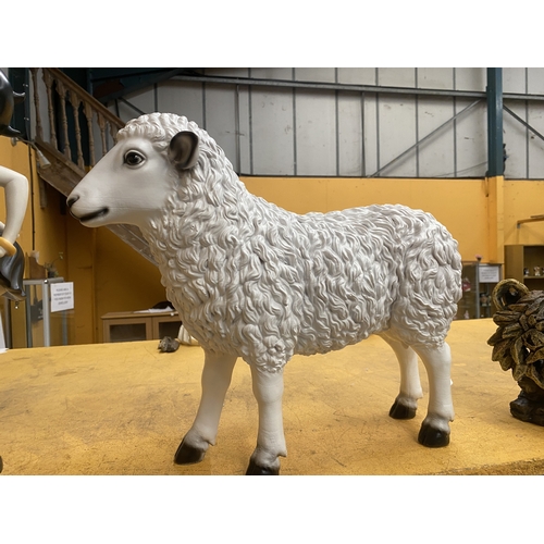 Lot 65        