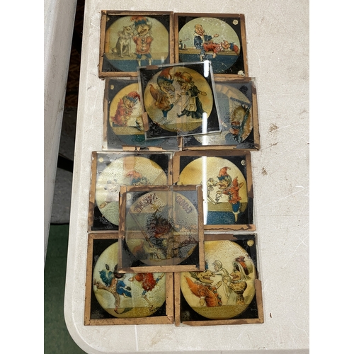 Lot 8         