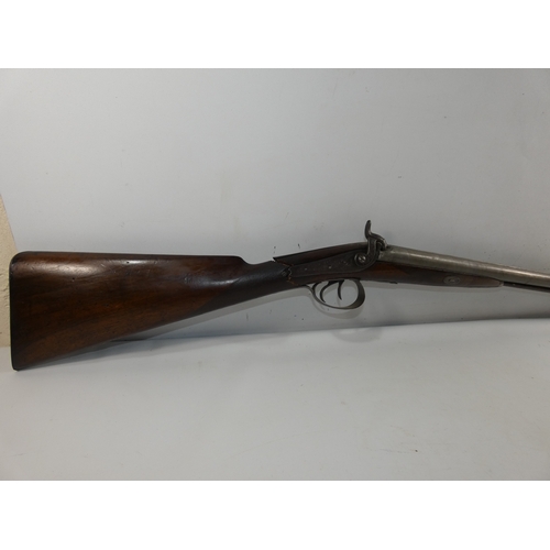 Lot 307       