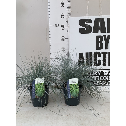 Lot 35        