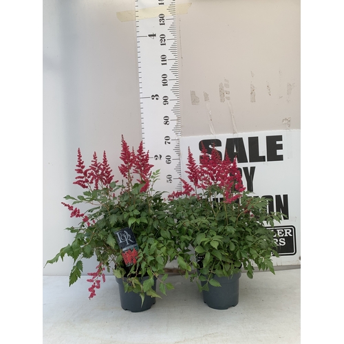 Lot 7         