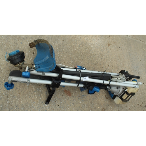 Lot 43        