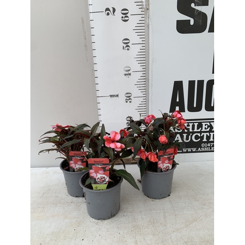 Lot 28        