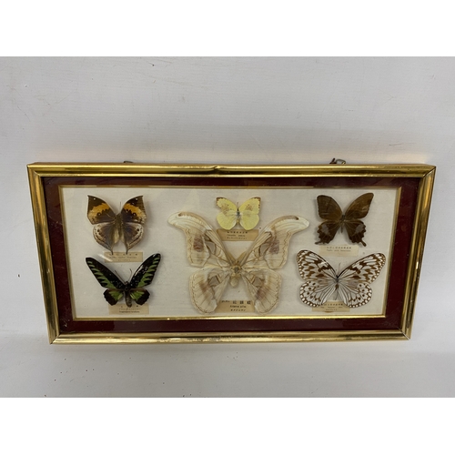 Lot 15        
