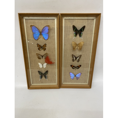 Lot 7         