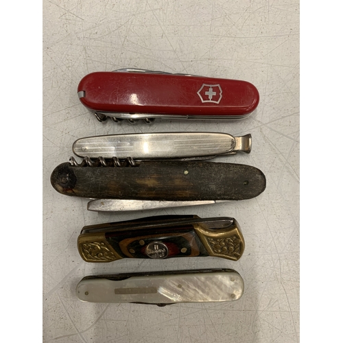 Lot 31        