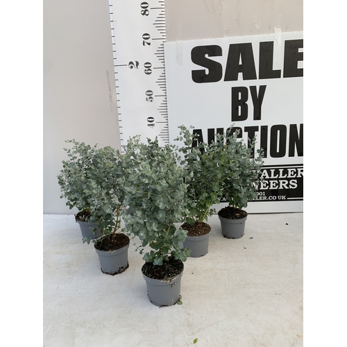 Lot 20        