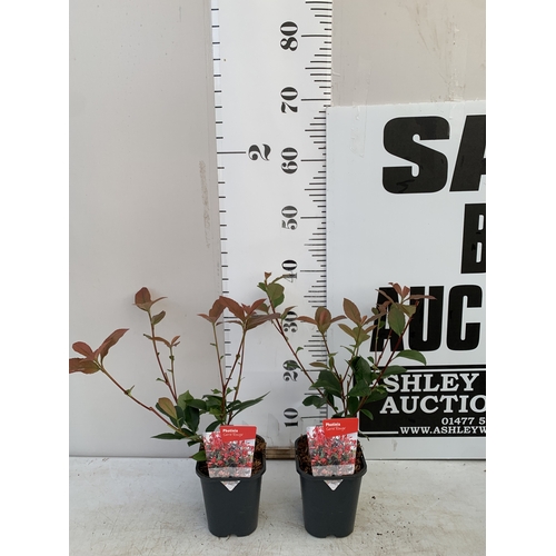 Lot 45        