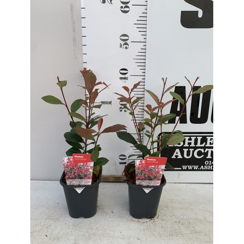 Lot 46        