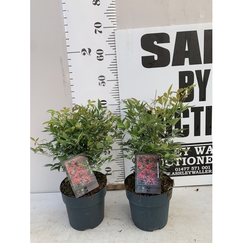 Lot 34        