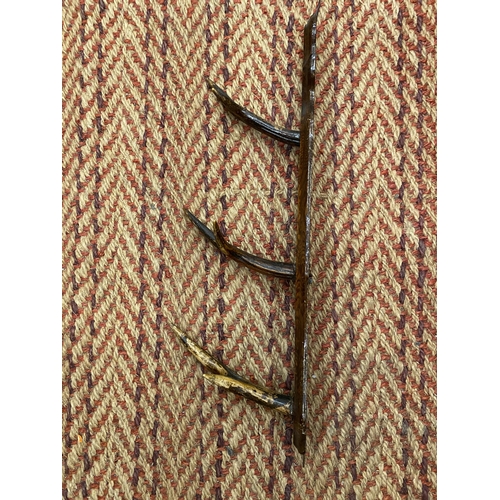 Lot 242       