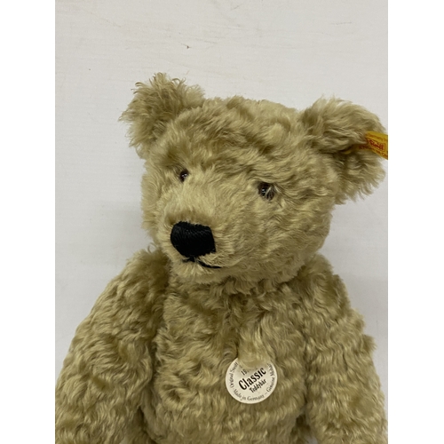 24 - A REPLICA STEIFF 1920 CLASSIC TEDDY BEAR WITH GROWLER AND BUTTON IN HIS EAR