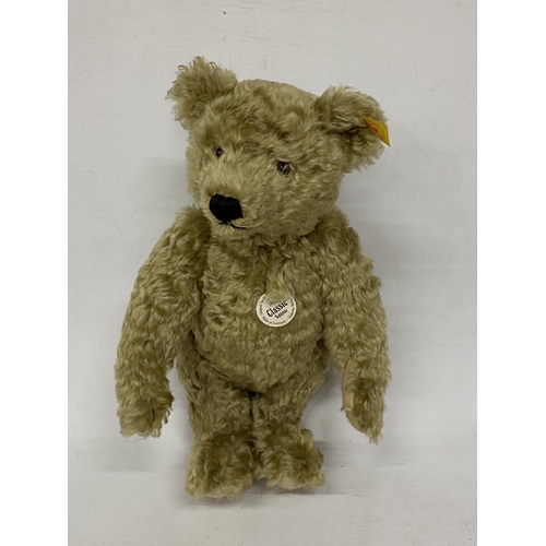 24 - A REPLICA STEIFF 1920 CLASSIC TEDDY BEAR WITH GROWLER AND BUTTON IN HIS EAR