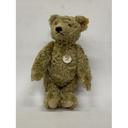 24 - A REPLICA STEIFF 1920 CLASSIC TEDDY BEAR WITH GROWLER AND BUTTON IN HIS EAR