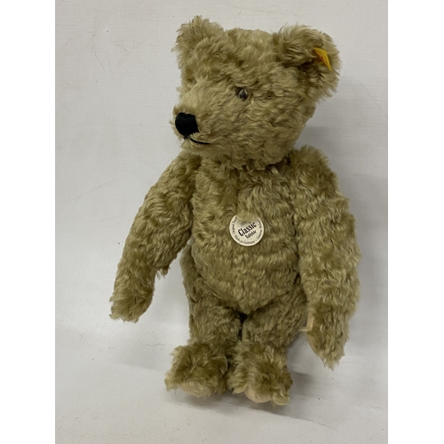24 - A REPLICA STEIFF 1920 CLASSIC TEDDY BEAR WITH GROWLER AND BUTTON IN HIS EAR