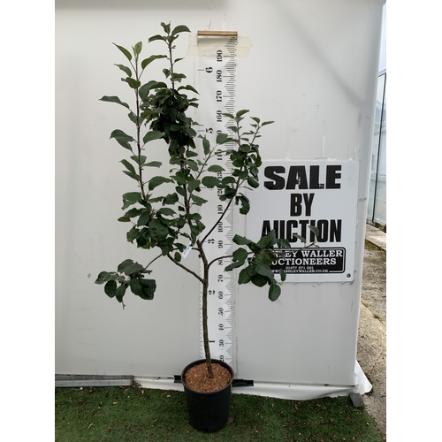 Lot 48        