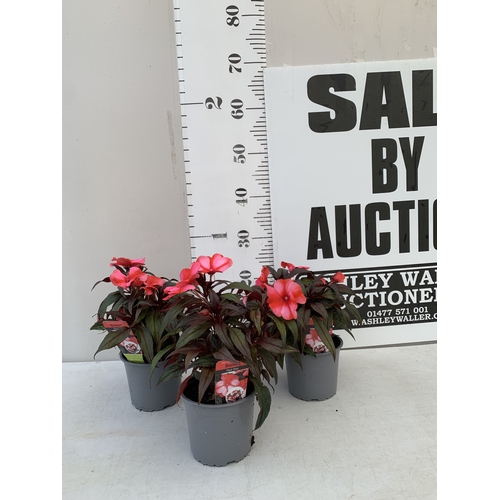 Lot 8         