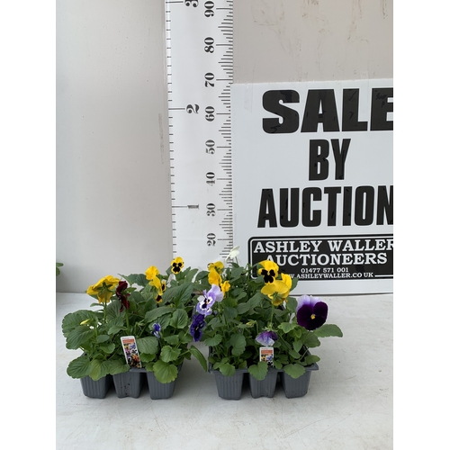Lot 3         