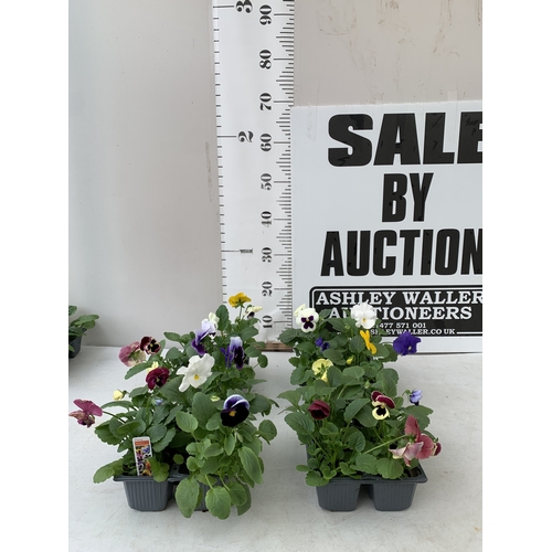 Lot 32        
