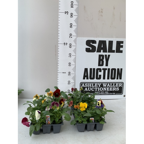 Lot 4         