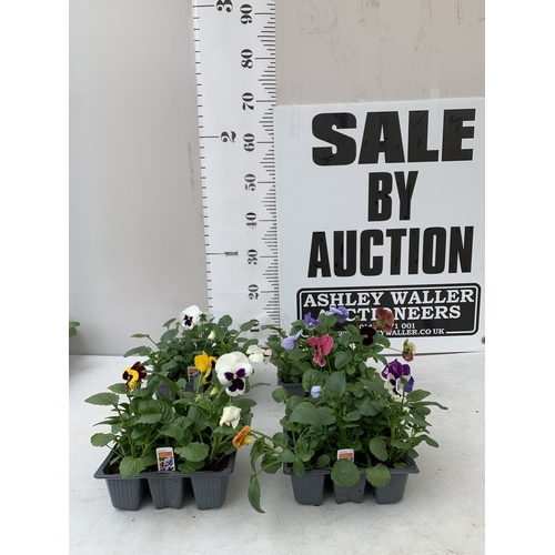 Lot 58        
