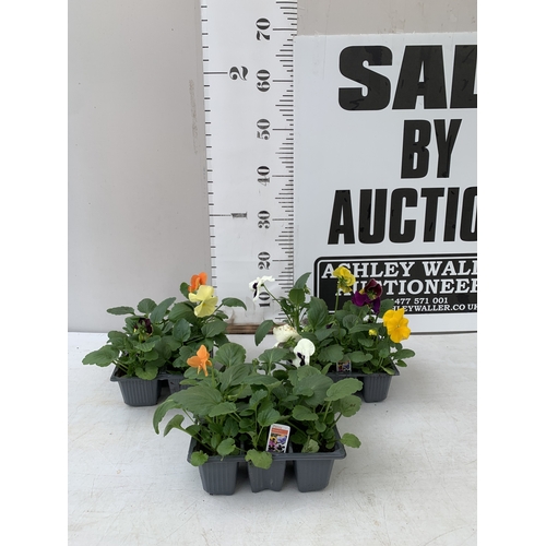 Lot 59        