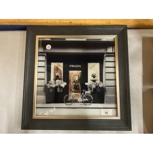 Lot 56        