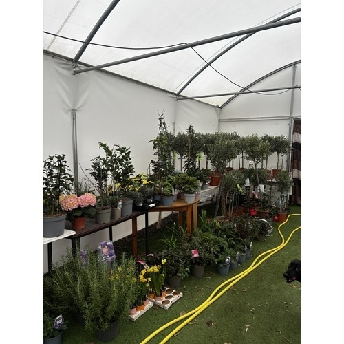 0 - WELCOME TO ASHLEY WALLER HORTICULTURE AUCTION ONLINE - LOTS ARE BEING ADDED DAILY