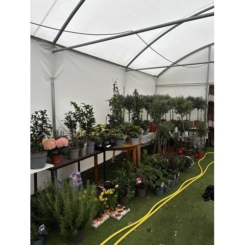 0 - WELCOME TO ASHLEY WALLER HORTICULTURE AUCTION ONLINE - LOTS ARE BEING ADDED DAILY