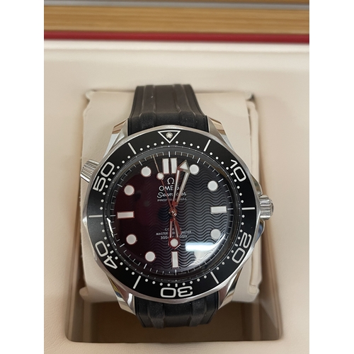301 - A GENTLEMAN'S OMEGA SEAMASTER PROFESSIONAL 300M WRISTWATCH WITH WOODEN DISPLAY BOX, DOCUMENTS, CARDS... 